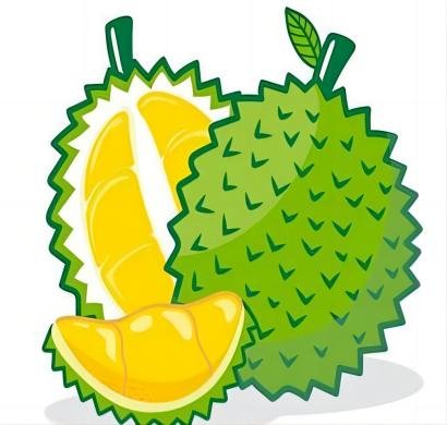 女性备孕吃榴莲可以促排卵泡吗